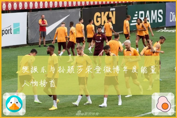 樊振东与孙颖莎荣登微博年度能量人物榜首