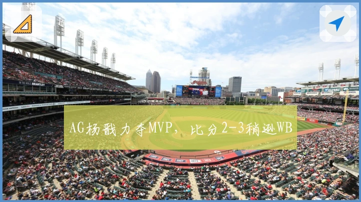 AG杨戬力夺MVP，比分2-3稍逊WB