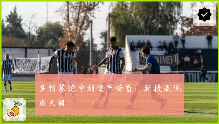 多特蒙德冲刺德甲榜首，新援表现成关键